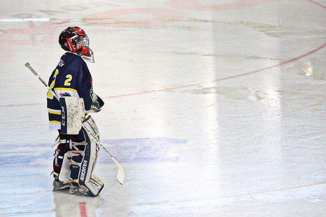 NHL守門員進階數據：SV%以外的門將評估