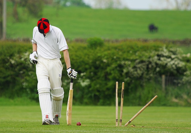 T20板球死亡輪次:<br>數據揭示勝負關鍵