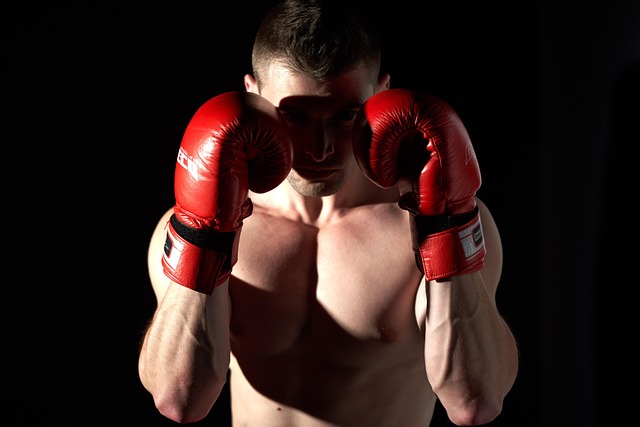 UFC選手<br>打擊精確度分析